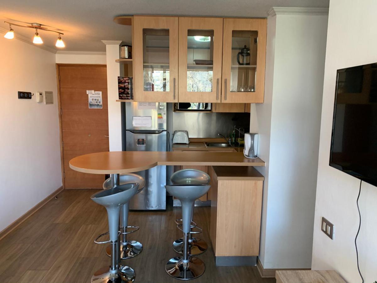 Departamento Amoblado Providencia Apartment Сантяго Екстериор снимка